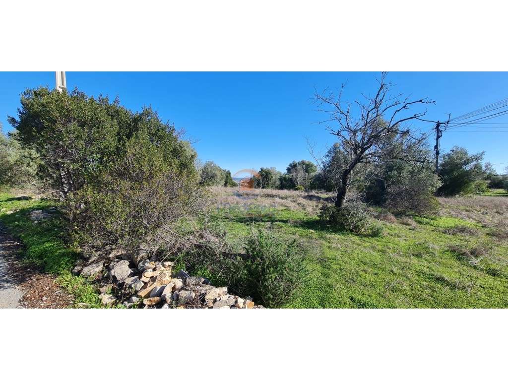 Terreno com ruína 1.700 m2 | São Brás de Alportel, Algarve - Grande imagem: 2/19