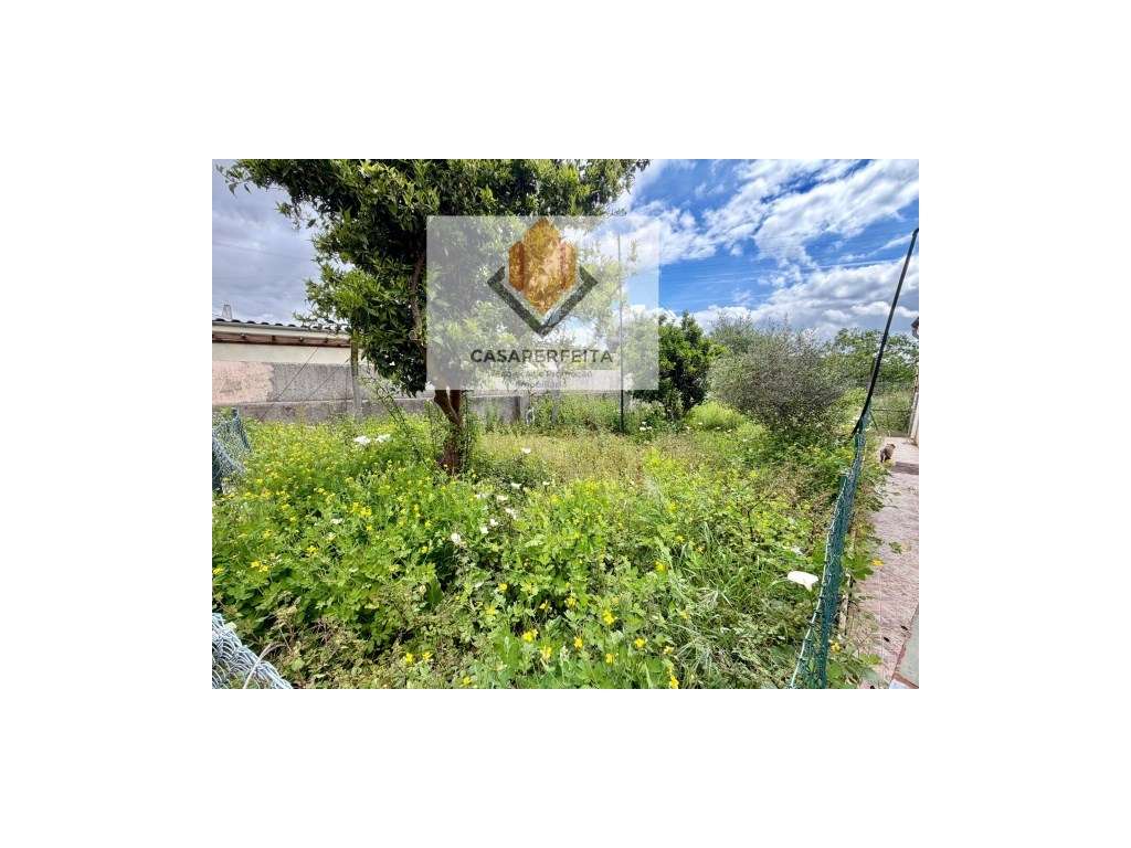 Andar Moradia T3 de 3 Frentes com Terreno, Garagem e Anexos - Avintes-7