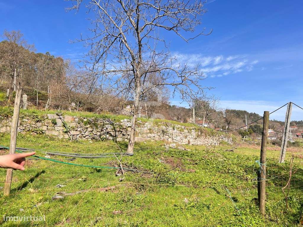 Quinta Histórica com 27.397 m² em Airão São João - Grande imagem: 5/60