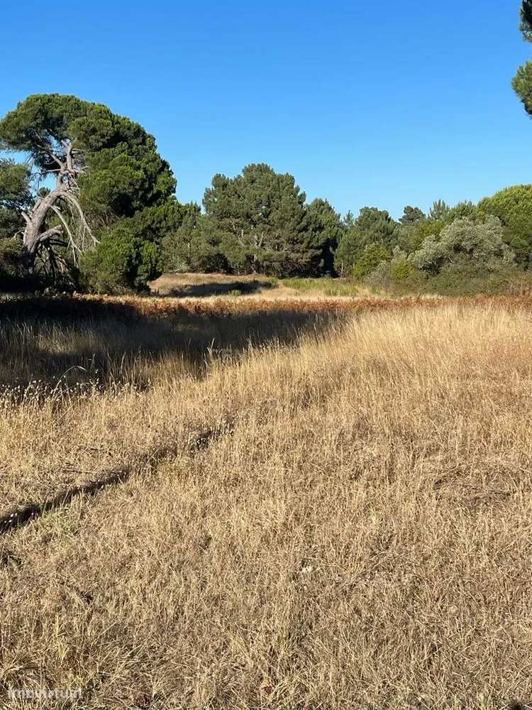 Sesimbra - Terreno rustico com capacidade construtiva - Grande imagem: 4/12