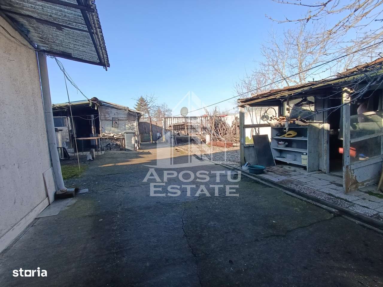 Casa individuala cu teren generos 2158mp, front 12m, livada, Freidorf - Imagine principală: 5/20