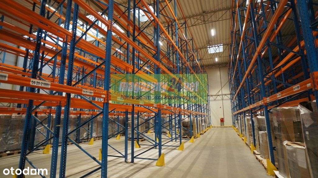 Do wynajęcia hala magazynowa 2726 m2 Gniezno - Pełny obrazek: 1/5
