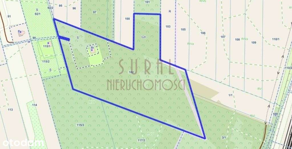 Węzeł Mszczonów/grunt inwestycyjny/lokalizacja-3