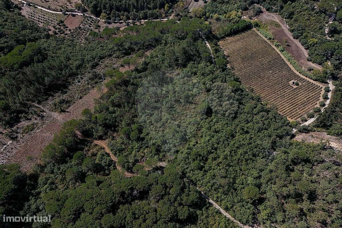 Terreno  para venda - Grande imagem: 5/11