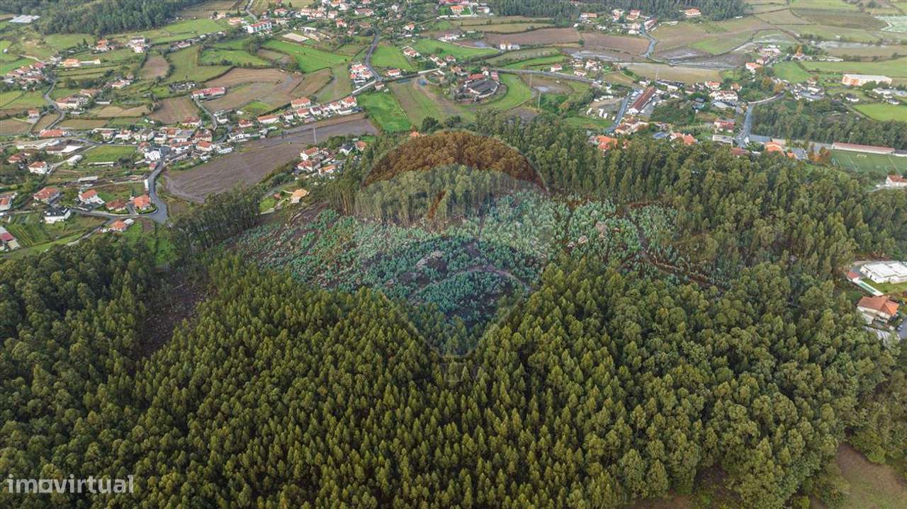 Terreno  para venda - Grande imagem: 4/11