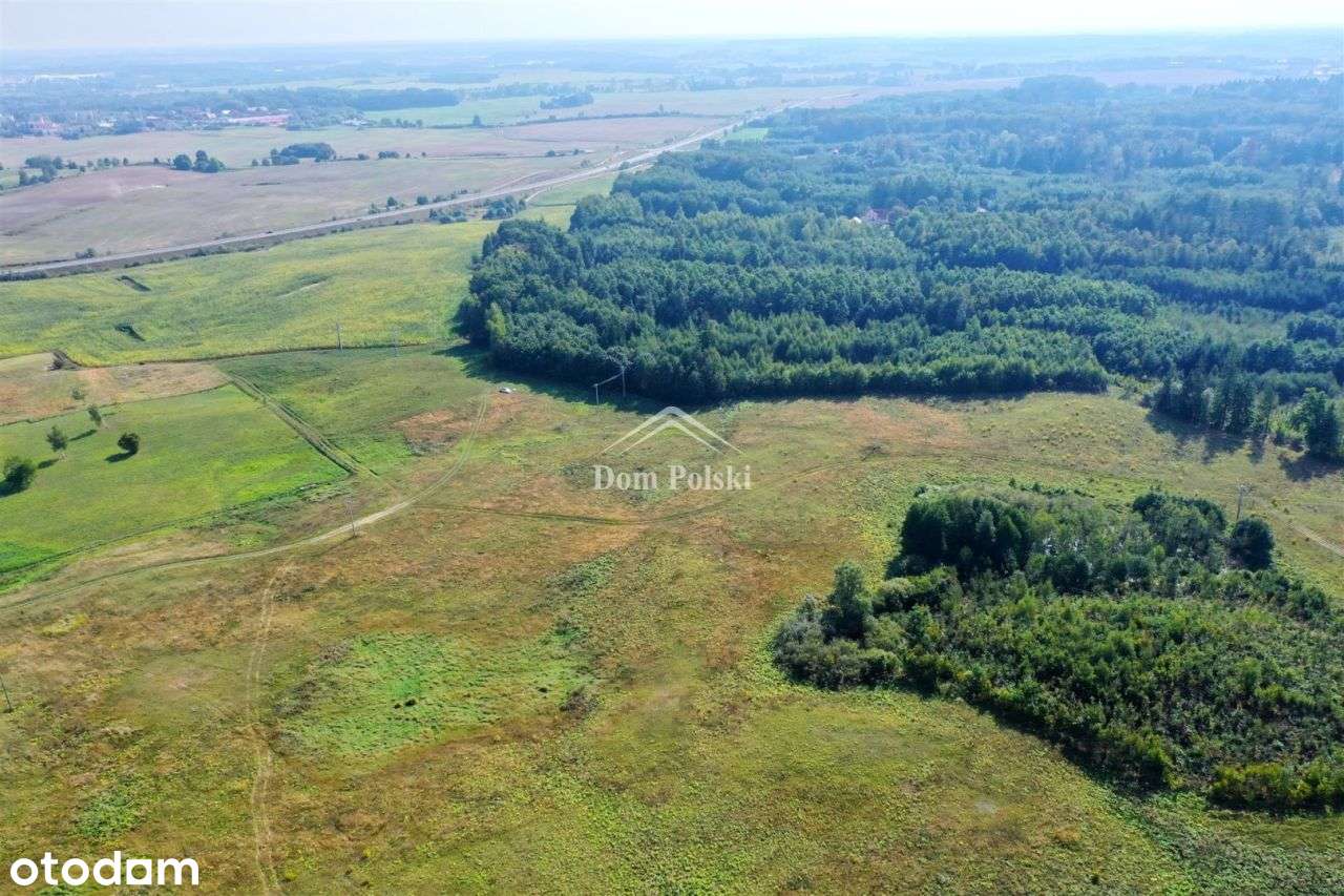 Działki budowlane 4 km od Olecka - Zielonówek - Pełny obrazek: 5/8