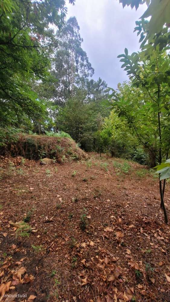 Terreno - Parada de Bouro - Grande imagem: 4/8