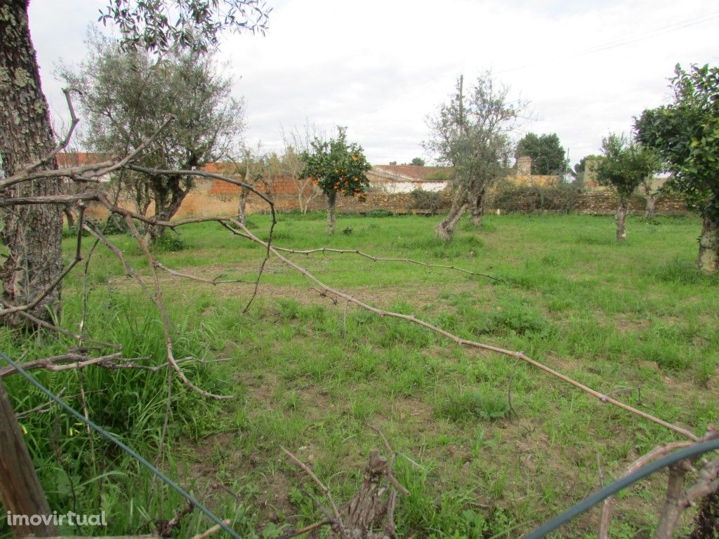 Terreno com 1600m2 com viabilidade de construção