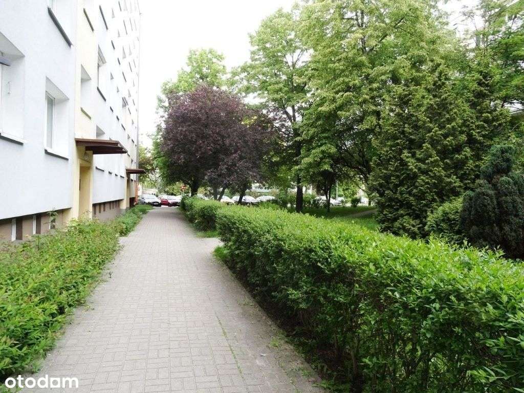 Mieszkanie na sprzedaż Rataje-8