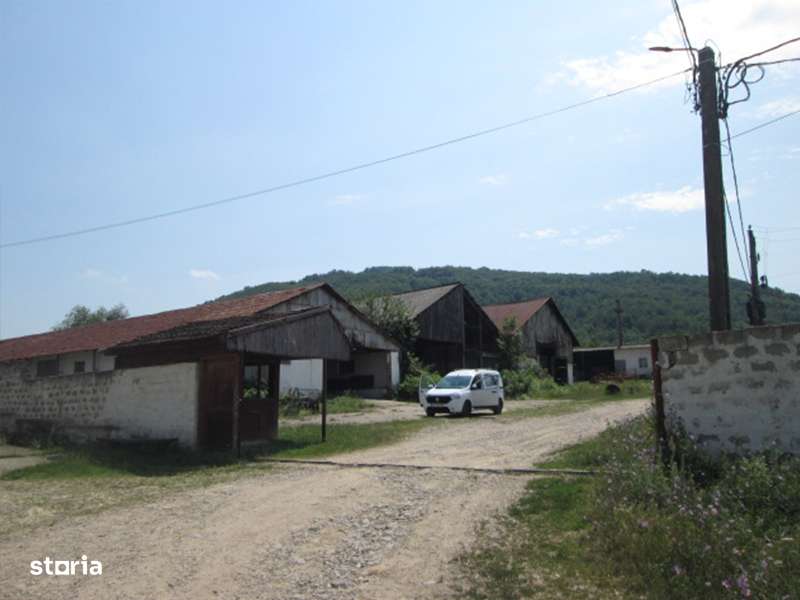 Teren agricol de 12 579 mp si contructii 5 161 mp-3