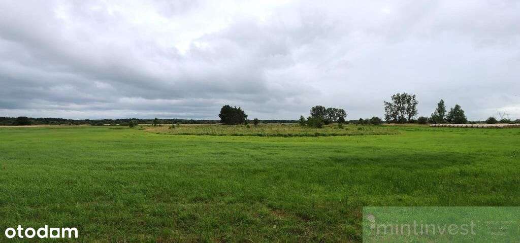 Działka rolna 4,86 ha Żarnowo-9