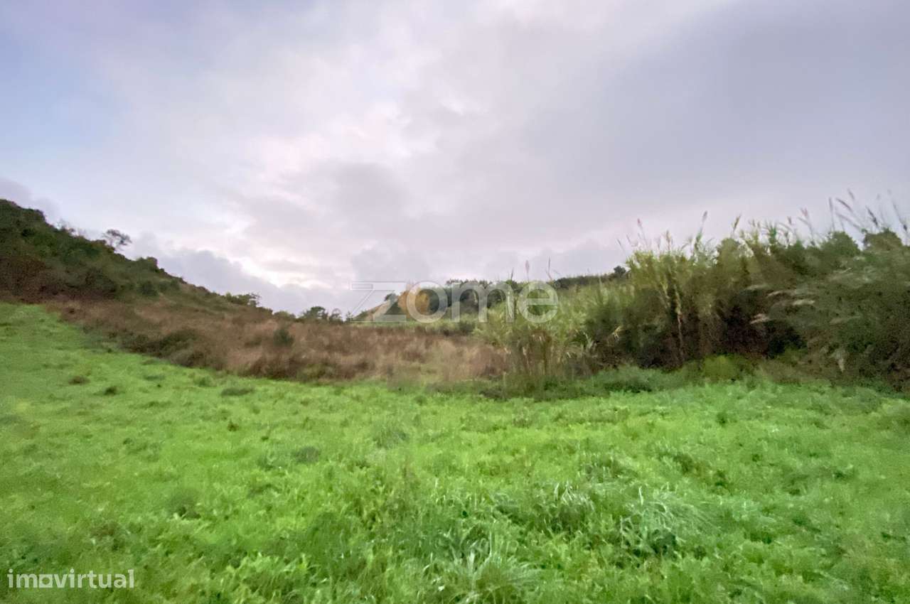 Terreno Rústico 1,6520 ha em Torres Vedras - Grande imagem: 3/15