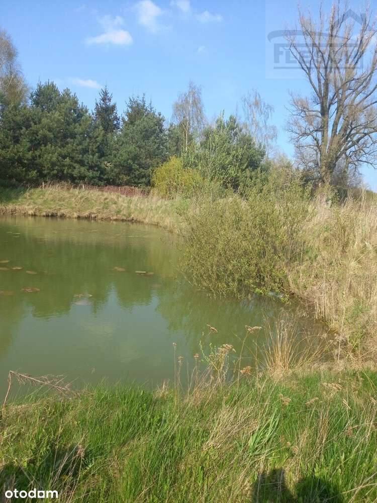 Działka-rolno budowlana Pniewy 15100 m² - View 6