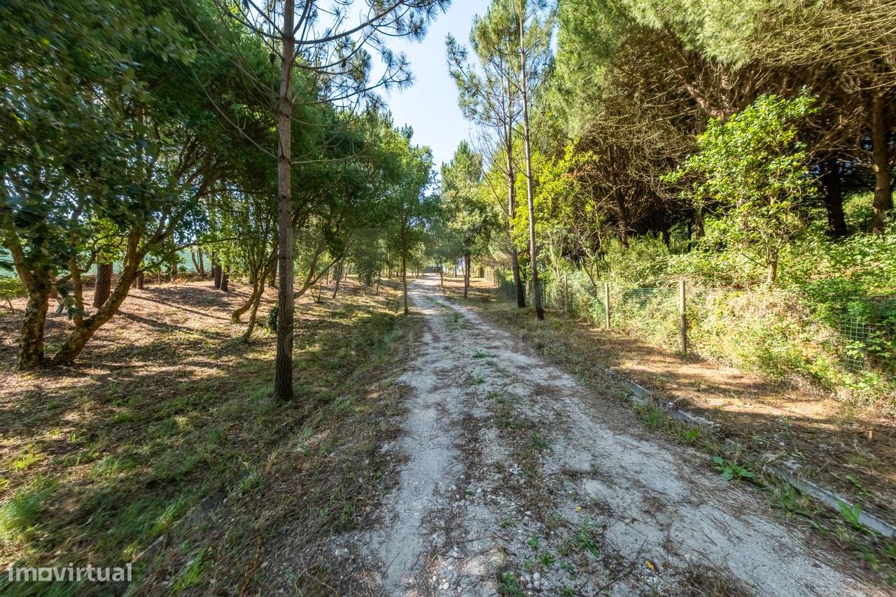 Terreno Agrícola na Fanadia | 16.100 m² de Potencial e Infraestrutu...-3