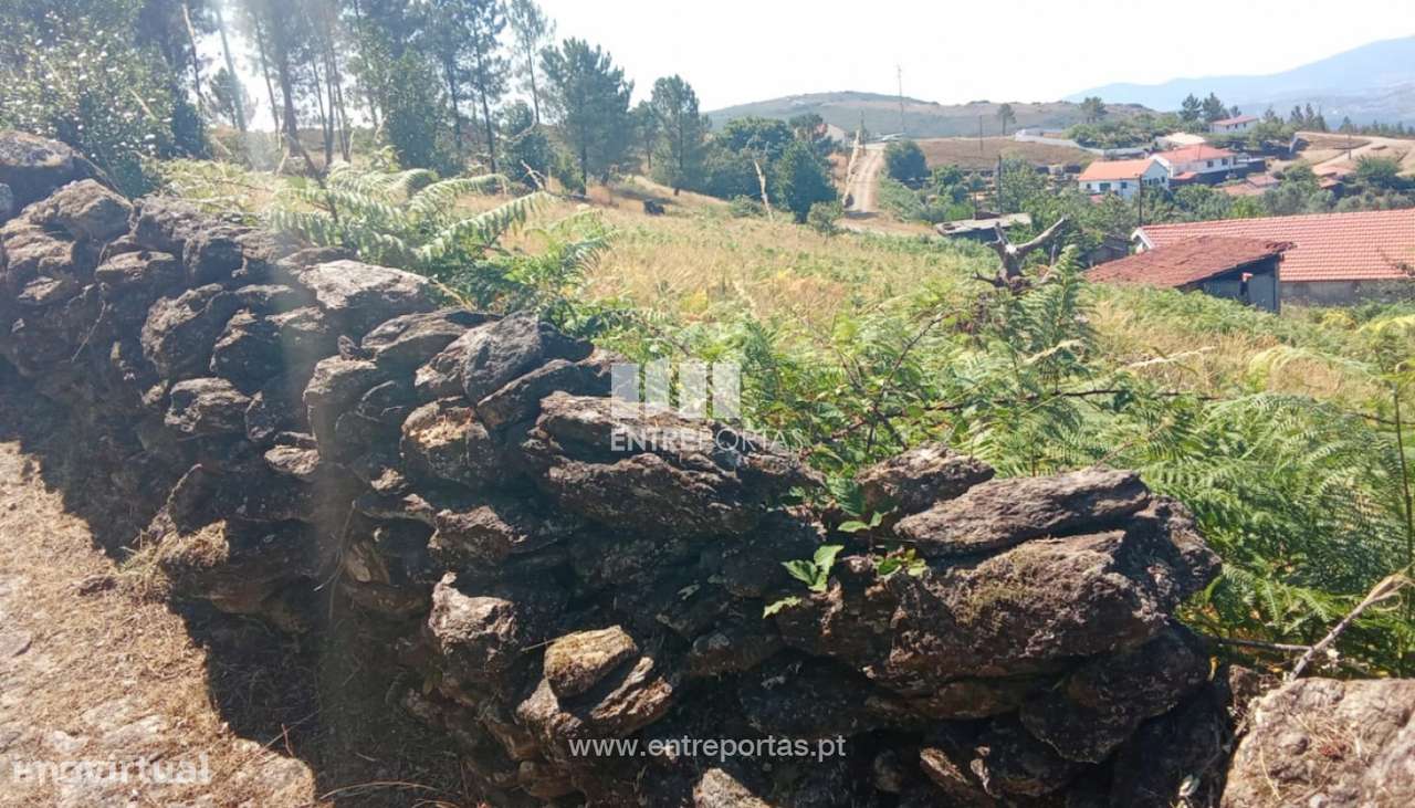 Terreno para venda, Arga de Baixo, Caminha - Grande imagem: 5/10