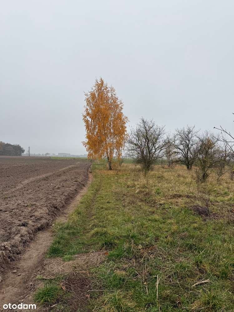 Grunt inwestycyjny, turystyka, sport i rekreacja, Batorowo-13