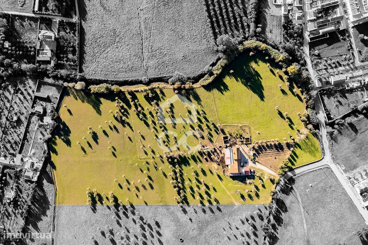 Quinta de 7,5 hectares  c/ Moradia T7 para Recuperação + Anexos de Apo - Grande imagem: 5/60