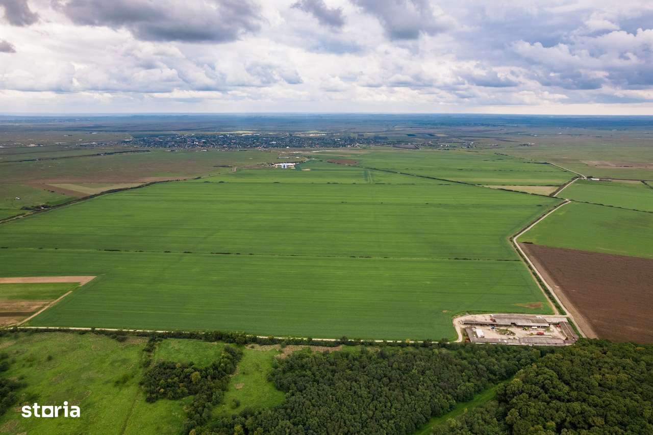 Teren arabil de 2688 hectare în Brăila - Imagine principală: 2/3