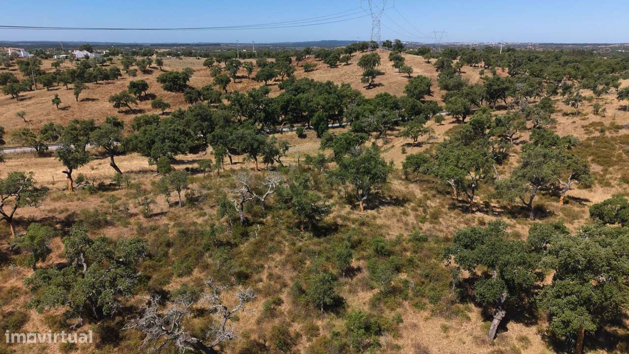 Monte Alentejano com propriedade de 13 HA-13