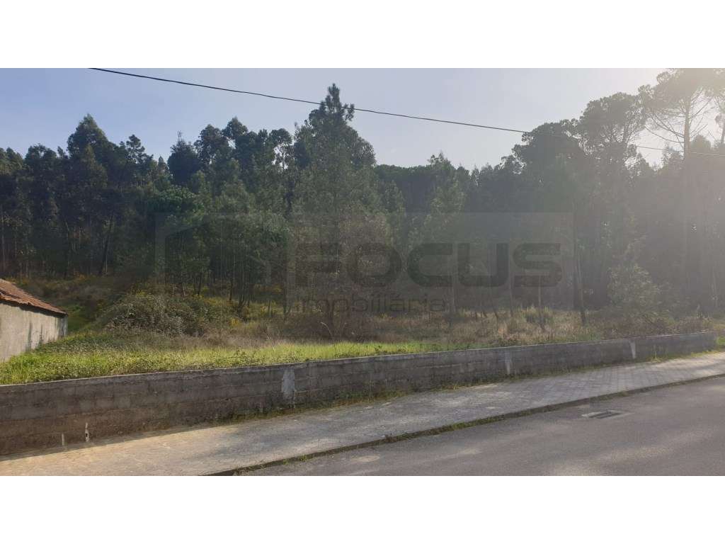 Espaçoso terreno para venda a 3 Km do centro de Oliveira do Bairro - Grande imagem: 2/21