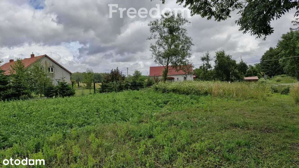 Działka 5 710 m² – przestrzeń i natura - Pełny obrazek: 4/11