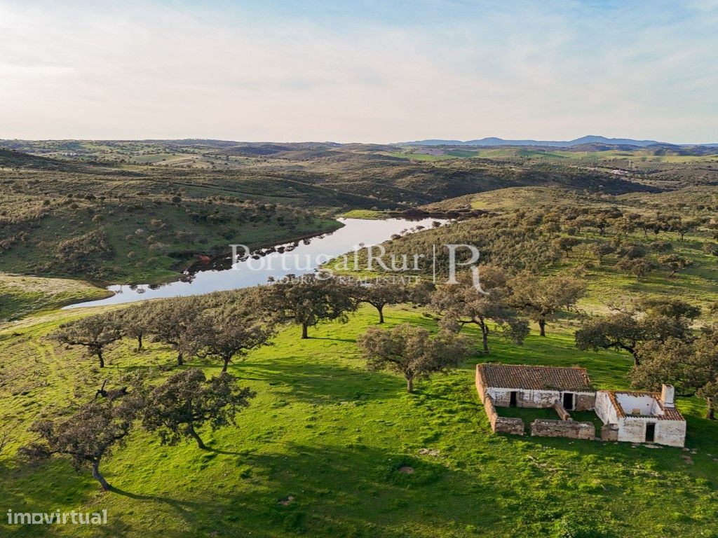 Herdade com 147 hectares - Grande imagem: 1/21