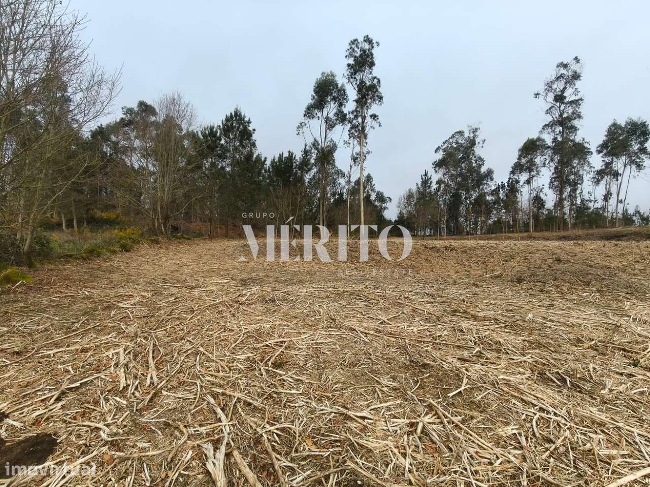 Terreno Agrícola com 10.760m2 em Cossourado frente ao Rio Neiva - Grande imagem: 3/17