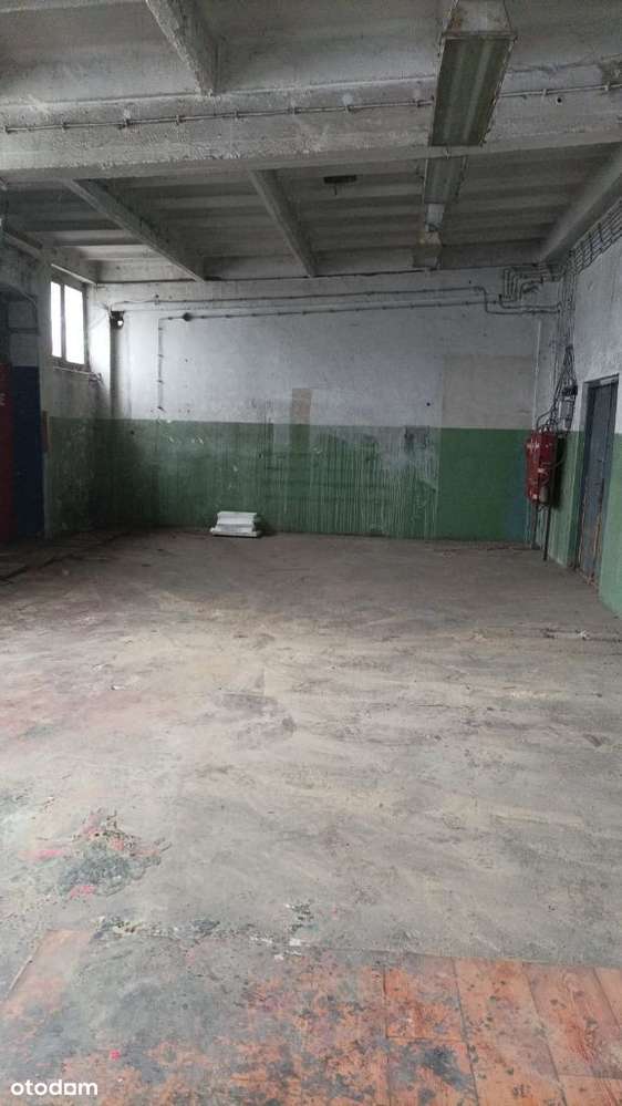 Hale w strefie przemysłowej w Nowej Soli - Pełny obrazek: 5/7