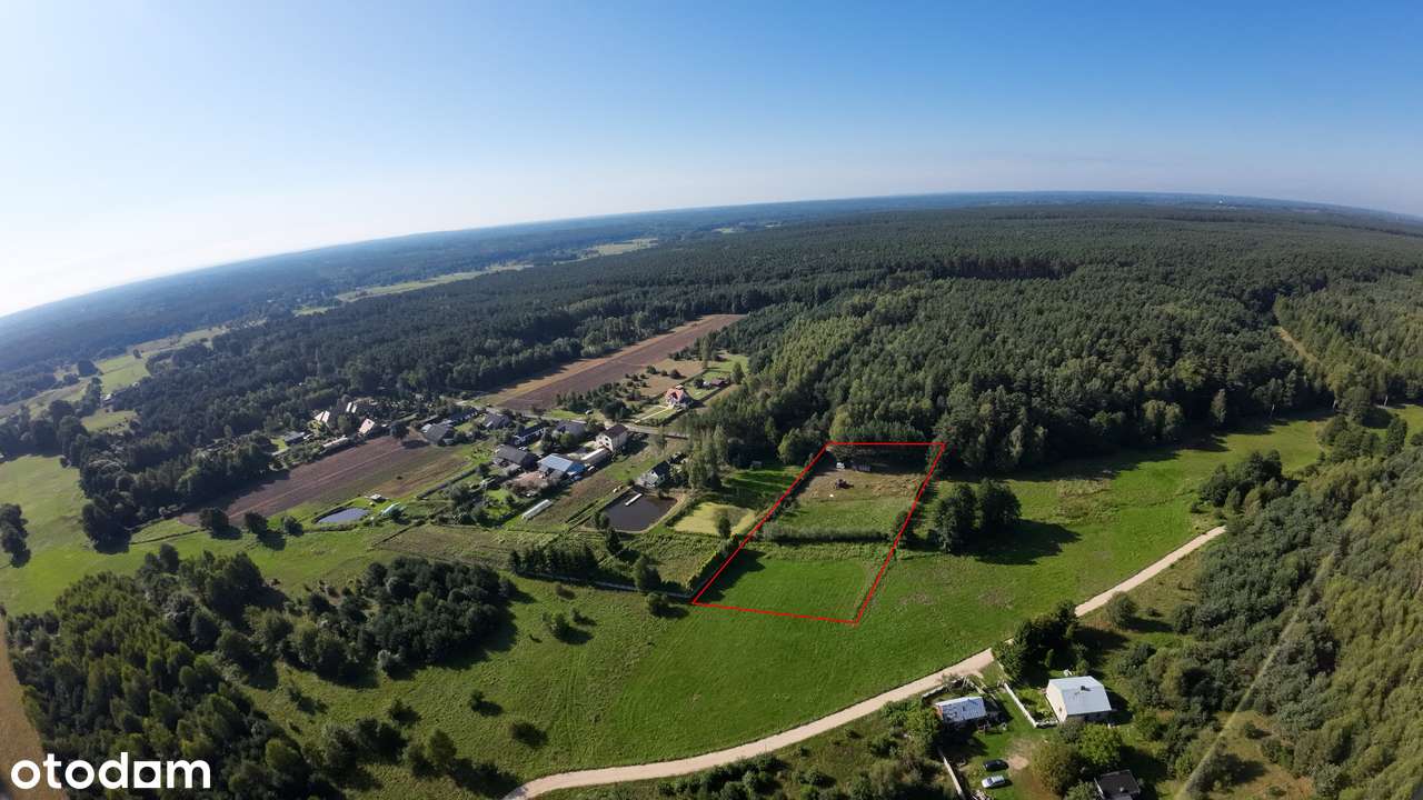 Działka przy lesie z WZ - 4500m2, uzbrojona - Pełny obrazek: 4/11
