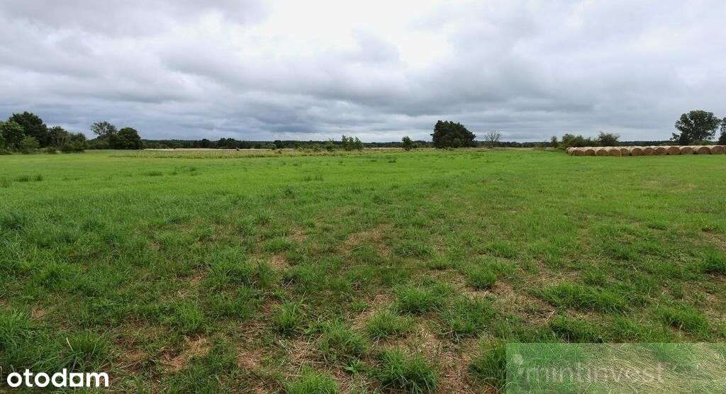Działka rolna 4,86 ha Żarnowo-2