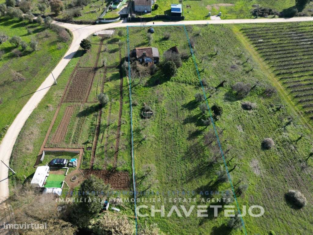 Casa de campo para renovação com excelente potencial perto de Tomar - Grande imagem: 4/34