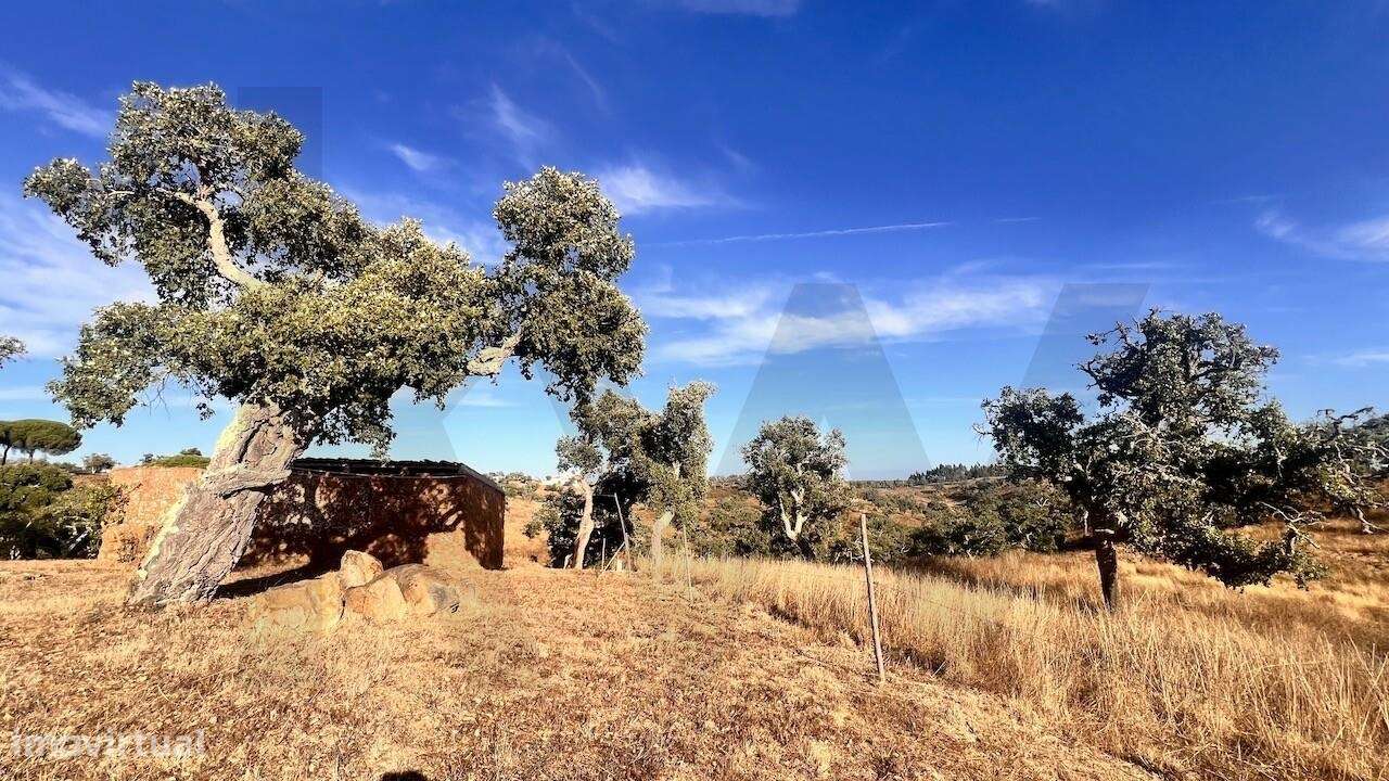 Propriedade única na Serra de Grândola - Terreno de 6,9 ha com vista p-22
