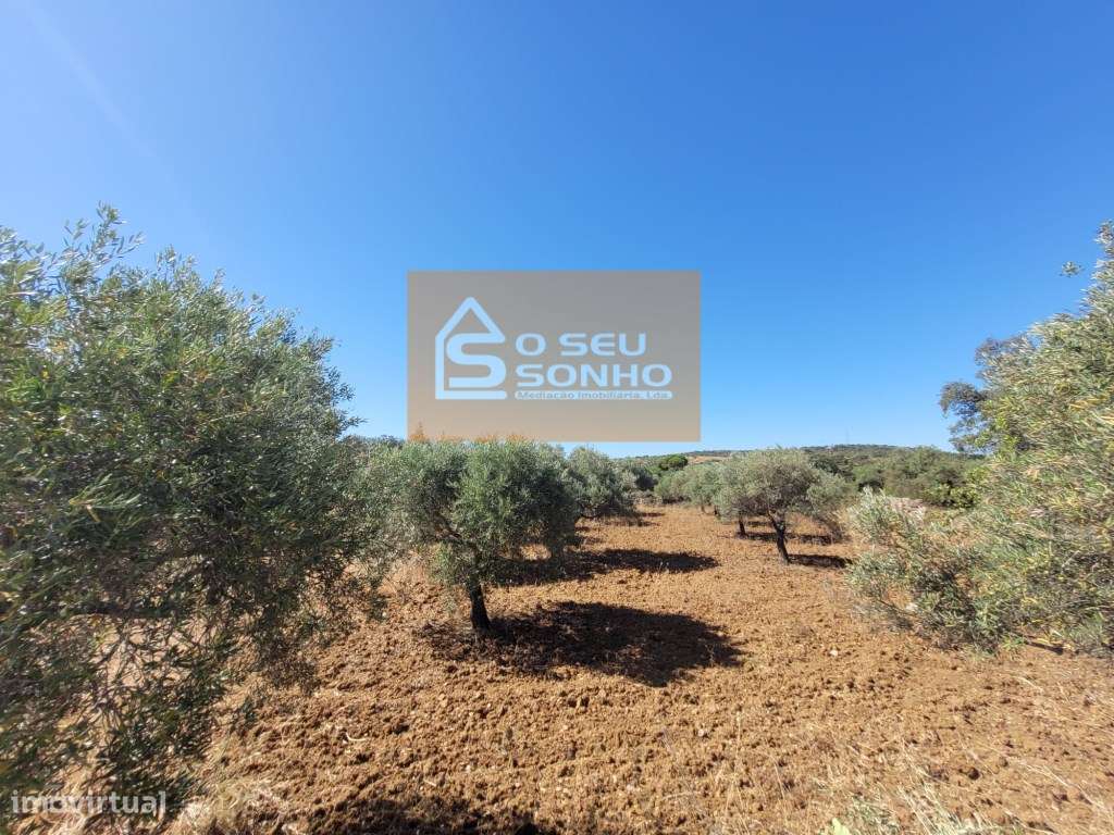 Terreno Rústico - 1.200 M² - Grande imagem: 3/10