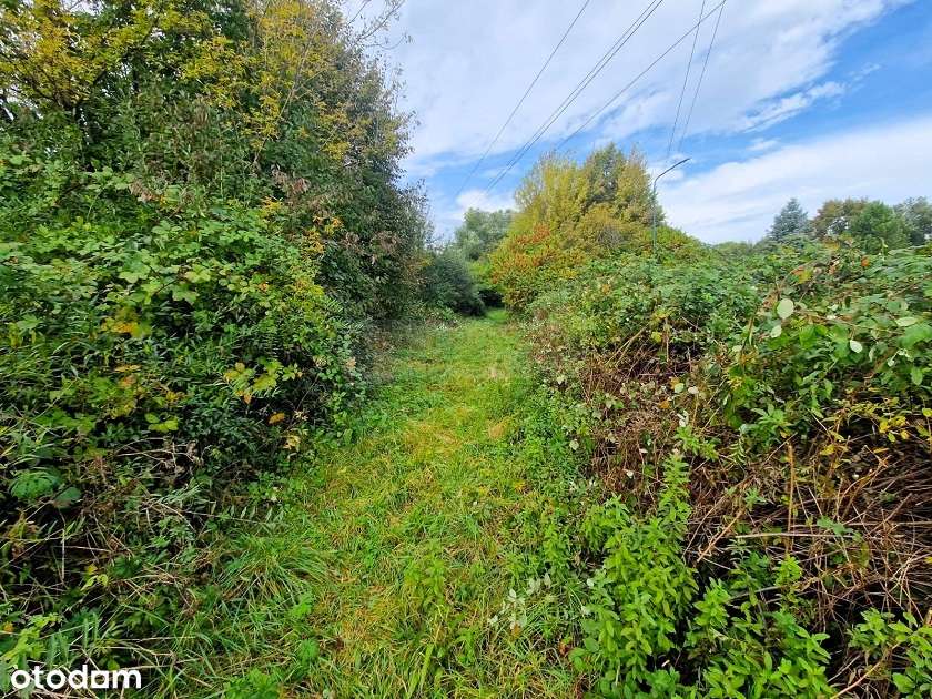 Działka budowlana o pow. 1 311m2/warunki zabudowy! - Pełny obrazek: 4/5