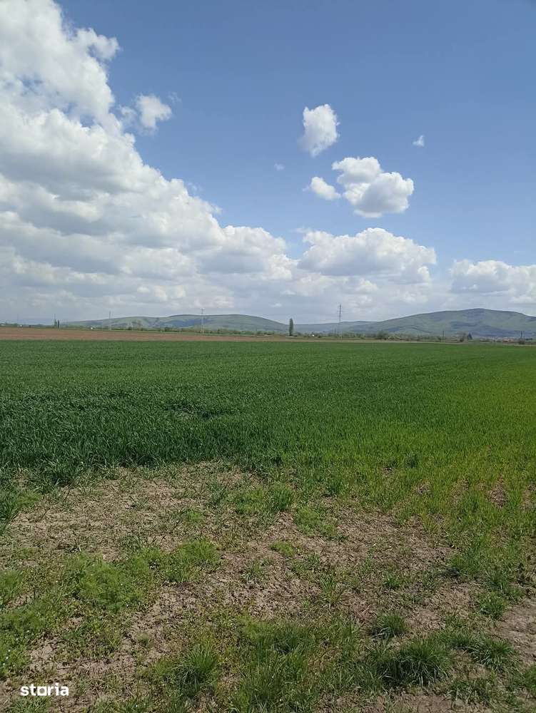 De vânzare teren extravilan langa drumul DN11-3