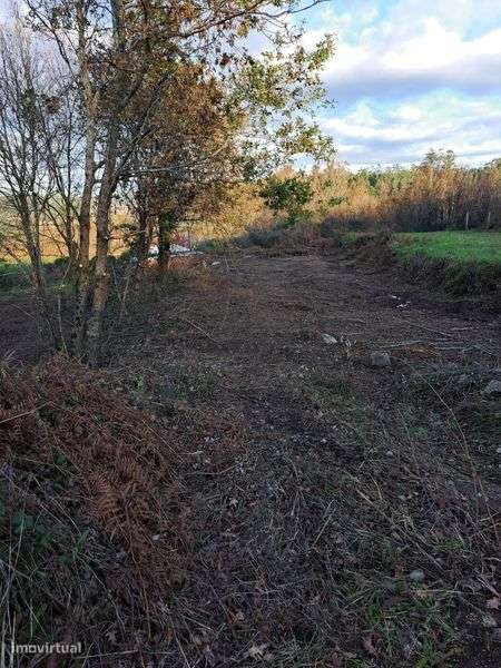 Terreno rústico a face da estrada. 5300 m2 em Cortinhas. - Grande imagem: 5/8