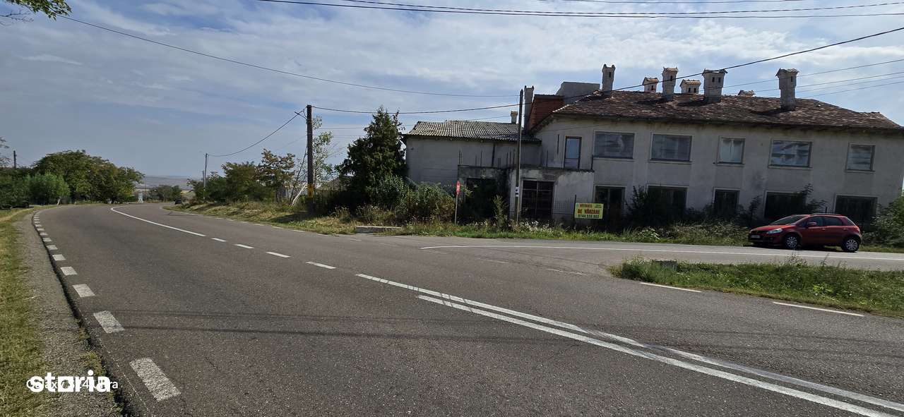 Constructii la strada in Cucorani pe 1 ha de teren - Imagine principală: 5/12