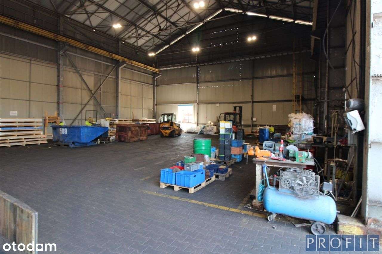 działka 9600m2 +hala 1100m2 - Pełny obrazek: 4/5