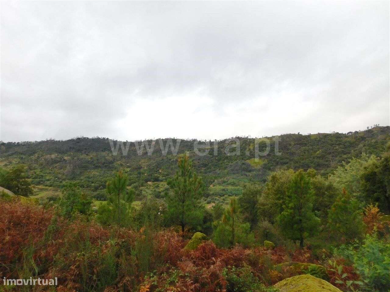 Terreno Rústico / Fundão, Pêro Viseu - Grande imagem: 5/6