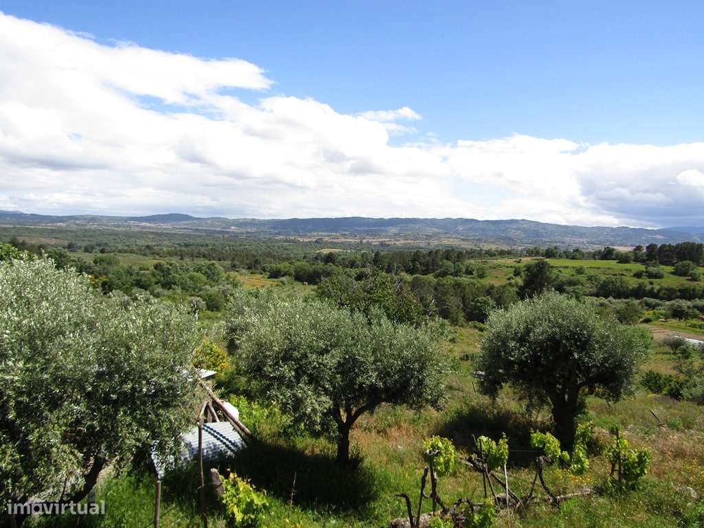 Quinta de 2 Andares T3 e T2 e Terreno 16.470m2 - Grande imagem: 2/46