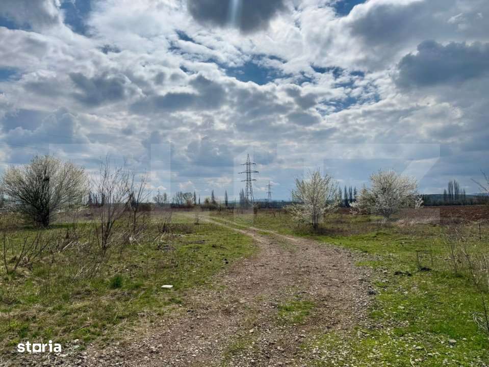 Teren Intravilan de vanzare,  7800 mp, zona Simeria - Imagine principală: 2/2