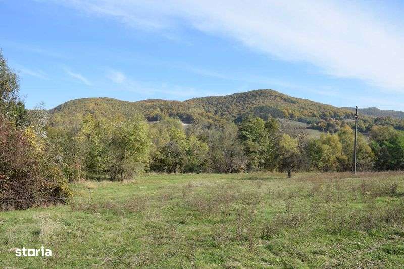 Casa 2 camere ,Cetea,Bihor - Imagine principală: 4/6