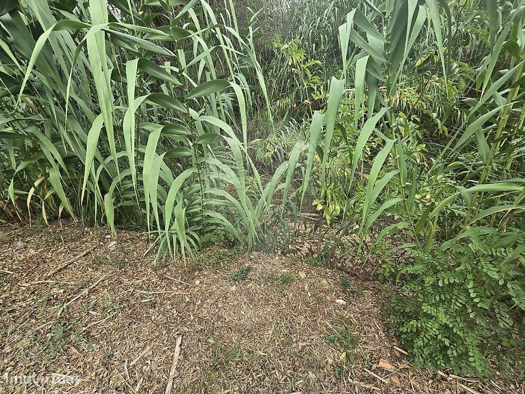 Terreno  para venda - Grande imagem: 5/10