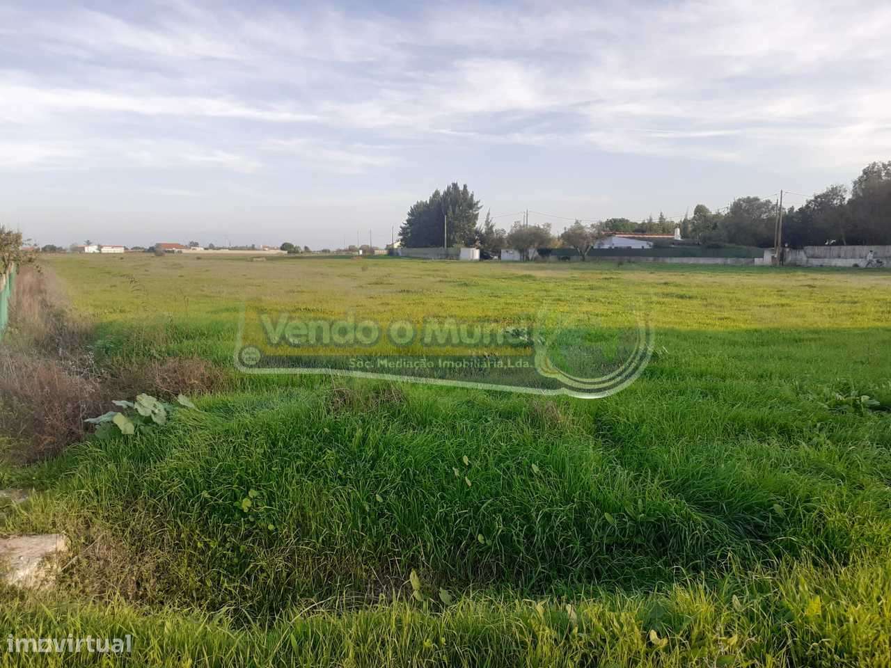 Terreno em Benavente (B501) - Grande imagem: 3/6