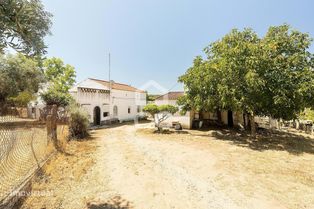 Quinta de 6,7 ha e moradia térrea T3 | Arraiolos - Grande imagem: 3/60