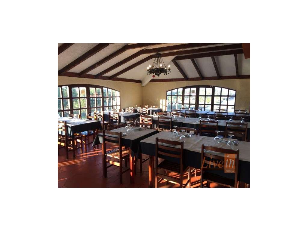 Restaurante Localizado na Ericeira - Grande imagem: 5/24