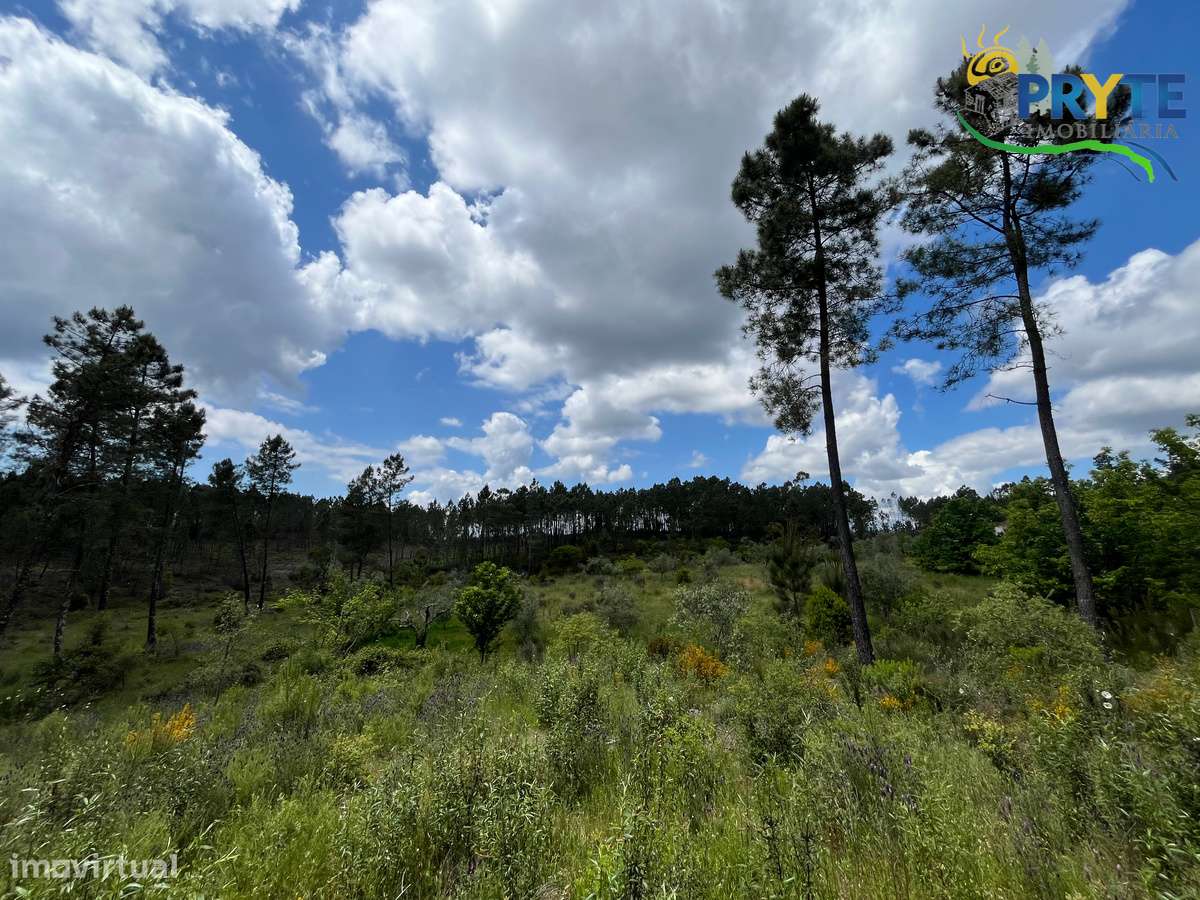 Quinta com 2 hectares de área total-sinónimo de privacidade e sossego-24