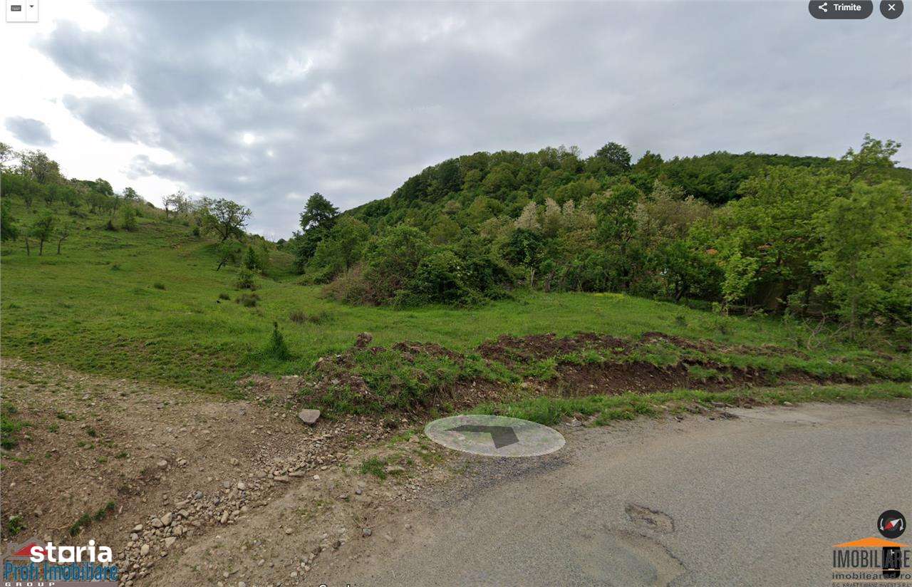 Loc de casa 1080 mp in Gurahont, cart. Iosasel - Imagine principală: 2/8