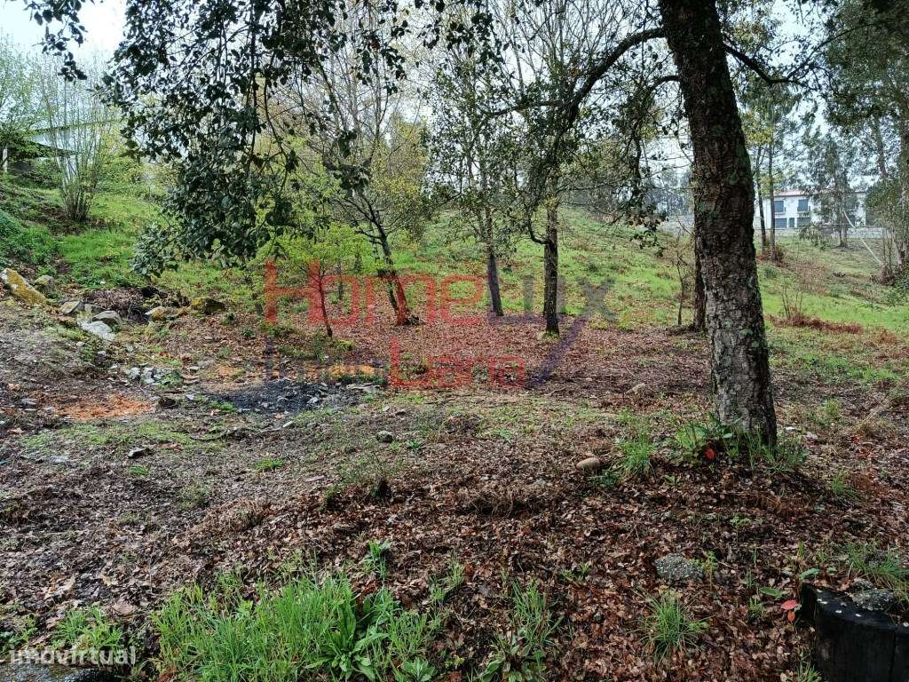 Terreno Urbanizável nas Termas de São Pedro do Sul - Grande imagem: 5/22