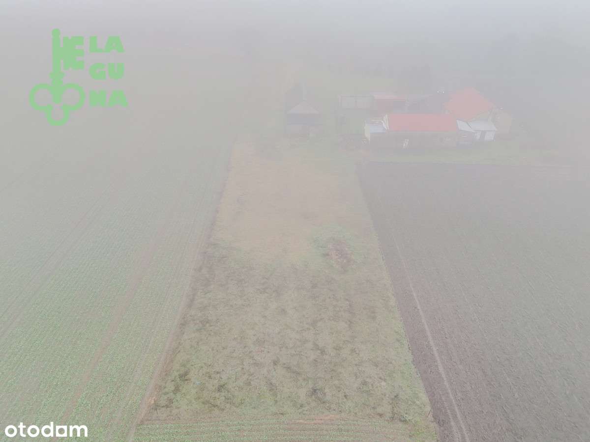 Działka rolno-siedliskowa 3535m² - Pełny obrazek: 5/8